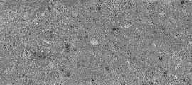 Керамогранит DD318300R Про Матрикс серый темный обрезной 15x60 от Kerama Marazzi
